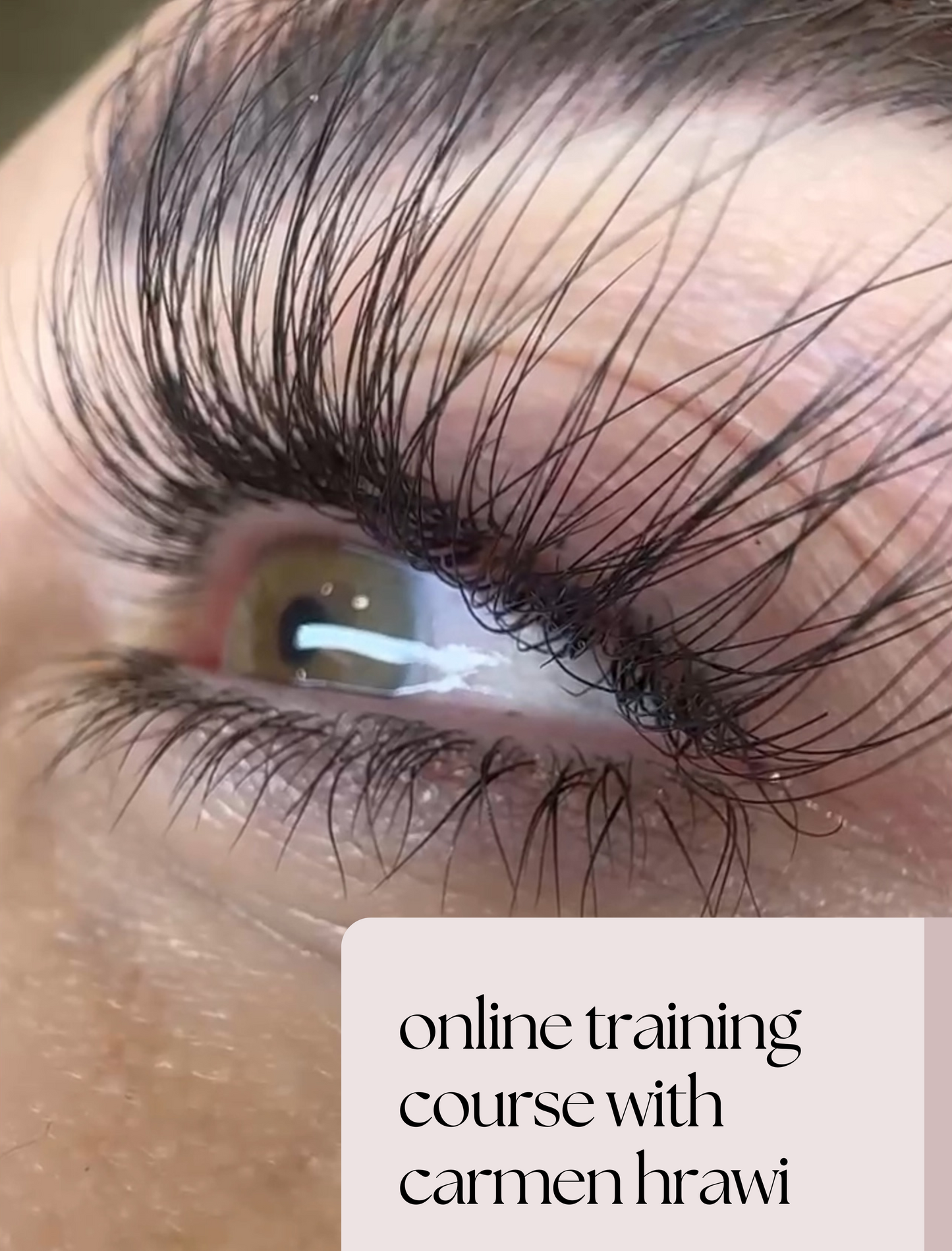 Carmen Hrawi’s Ultimate Lash Training Program